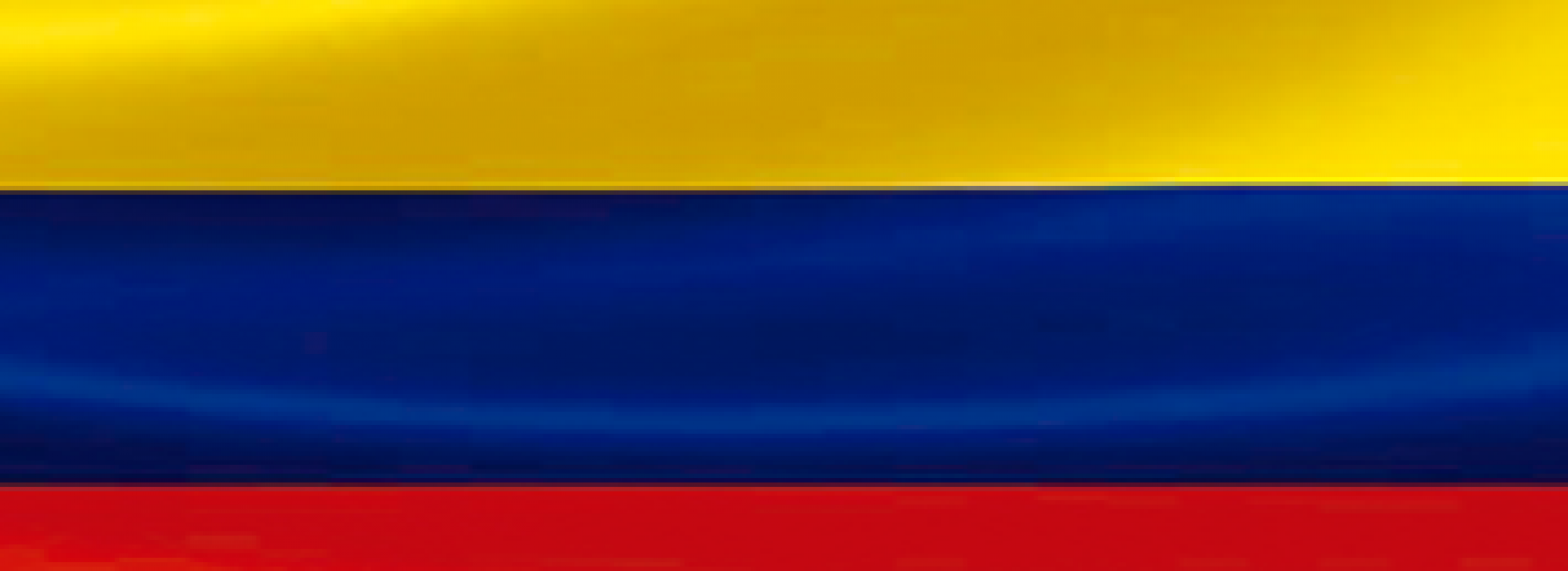 PLANEADOR AÑO 2020