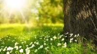ROTARY COMPARTE EL INTERÉS POR LA PROTECCIÓN DE NUESTRO LEGADO COMÚN: EL MEDIOAMBIENTE.