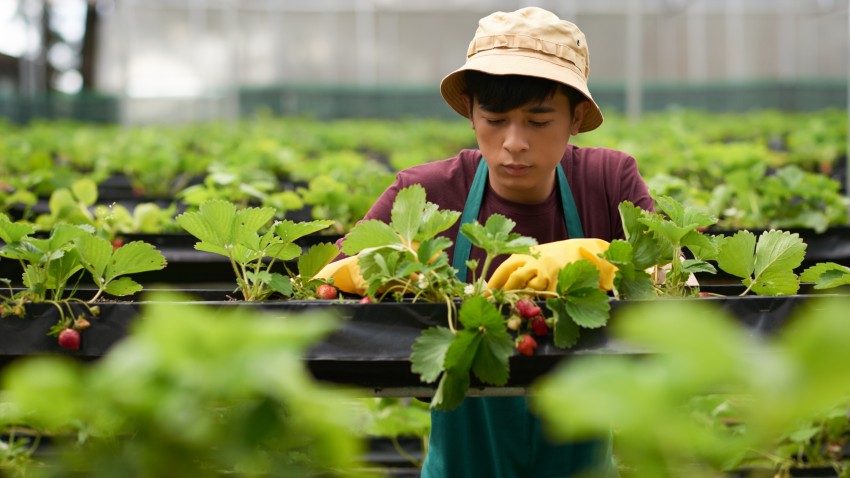 LA EDUCACIÓN RURAL Y EL AGRO EN EL CASANARE