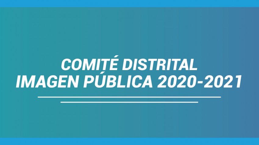 EXTRUCTURA DEL COMITÉ DISTRITAL  DE IMAGEN PÚBLICA 2020 - 2021 