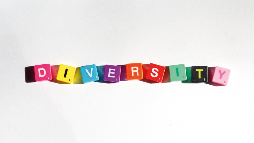 LA DIVERSIDAD, EQUIDAD E INCLUSION EN ROTARY NOS FORTALECE
