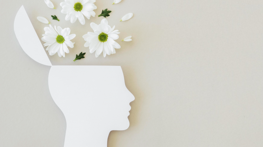 SALUD MENTAL Y DIGNIDAD HUMANA: SUBVENCIÓN GLOBAL PARA EL CENTRO DIA GNA