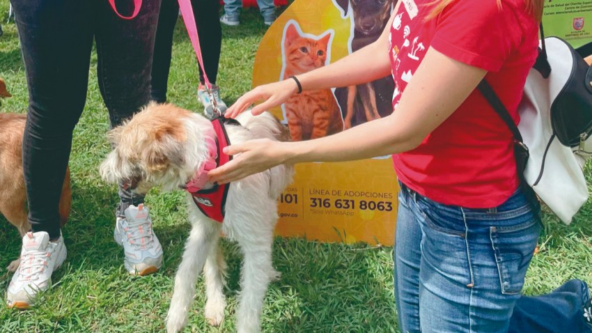 Servicio que une regiones, transforma comunidades y deja huella - Rotaract Zona Sur D4281